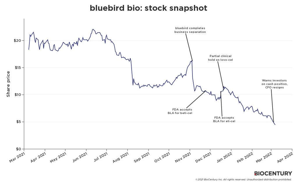 bluebird-bio-stock-flourish