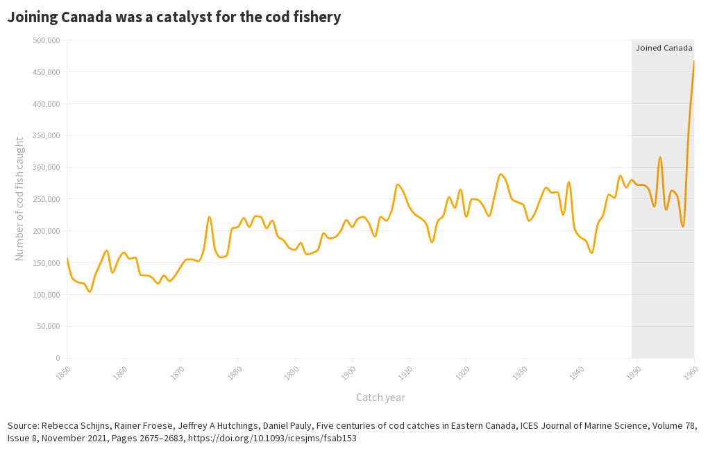 Newfoundland, Cod Population, Joining Canada Flourish