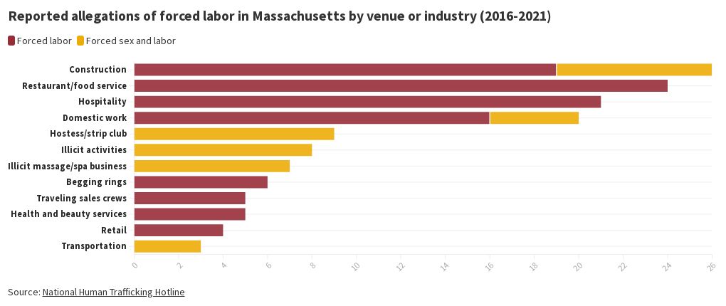 forced-labor-in-mass-by-type-flourish