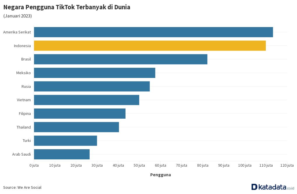 Negara Pengguna TikTok Terbanyak Di Dunia | Flourish