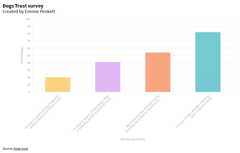 Dogs Trust survey Flourish