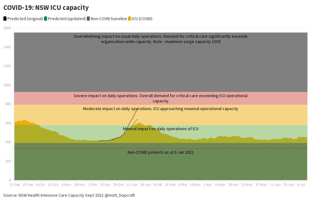 NSW ICU capacity model Flourish