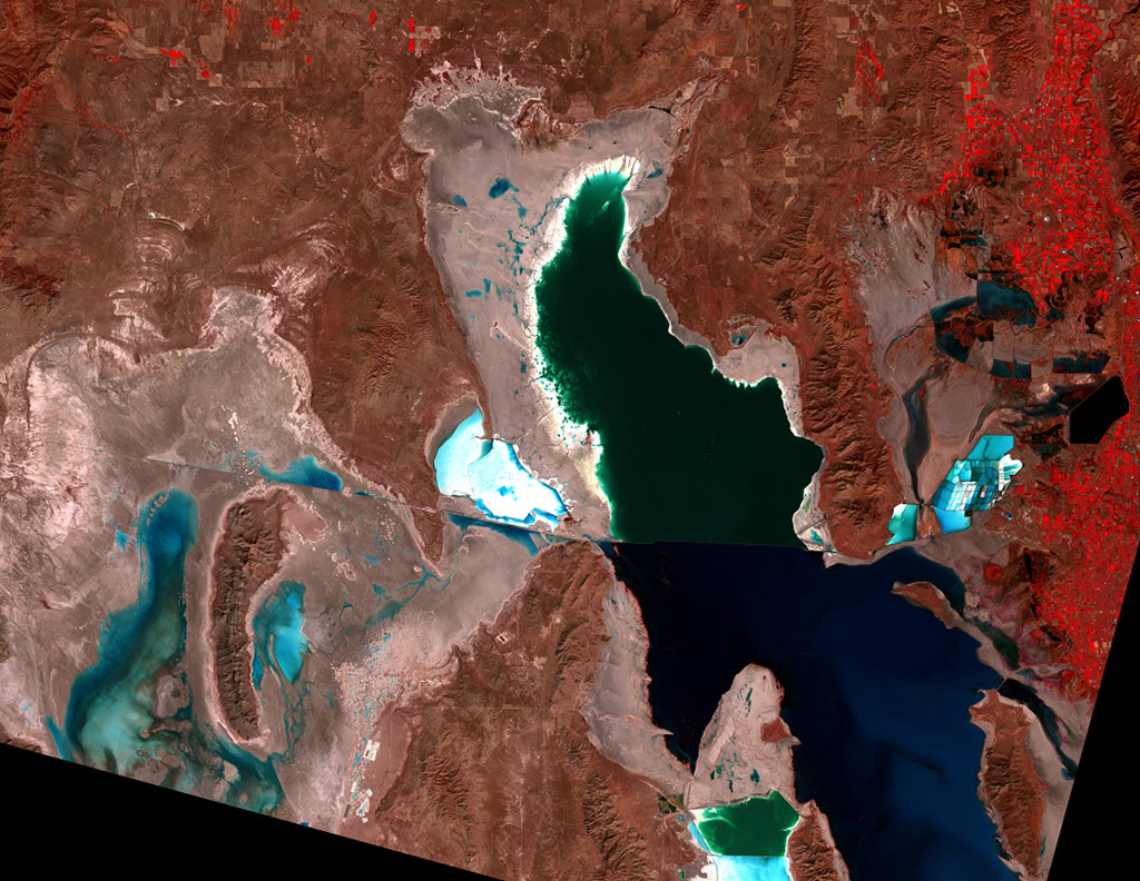 Great Salt Lake not that far off from an ecosystem collapse: Toxic dust  storms, die-offs loom