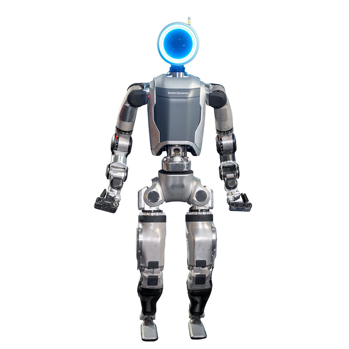 A humanoid robot about the size of an adult person, with a silver metal body and a round blue head, stands facing forward.