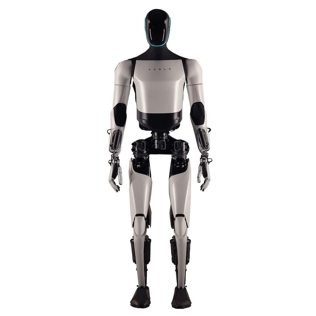 A humanoid robot about the size of an adult person, with a sleek gray and black body, stands facing forward.