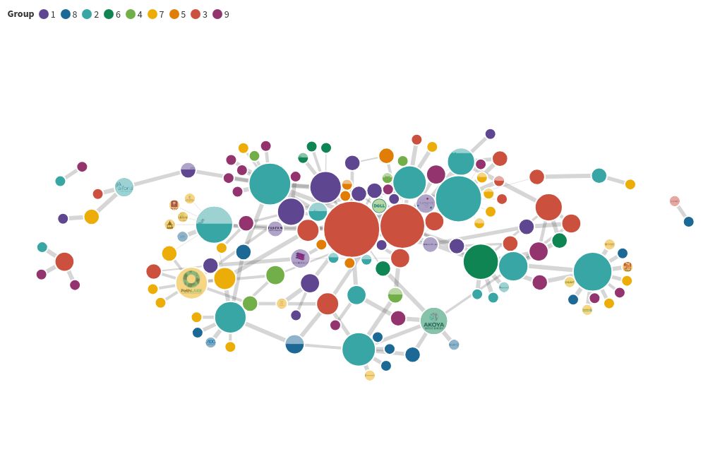 network visualization