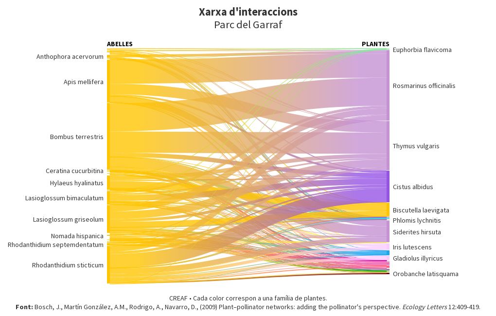 sankey visualization