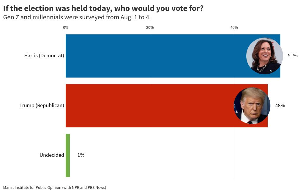 bar-chart-race visualization