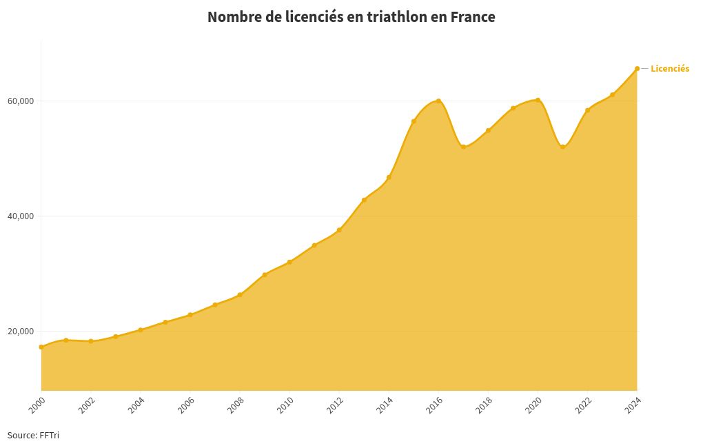 chart visualization