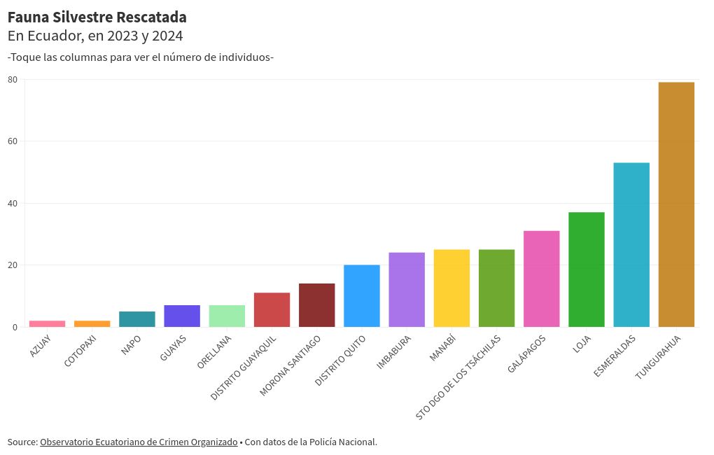 chart visualization