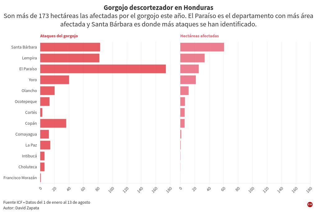 chart visualization