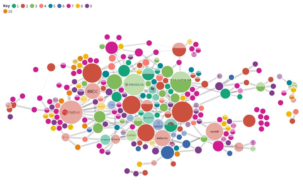 network visualization