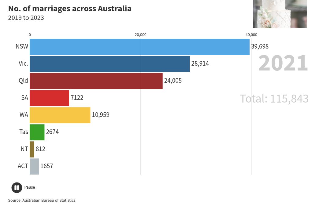 bar-chart-race visualization