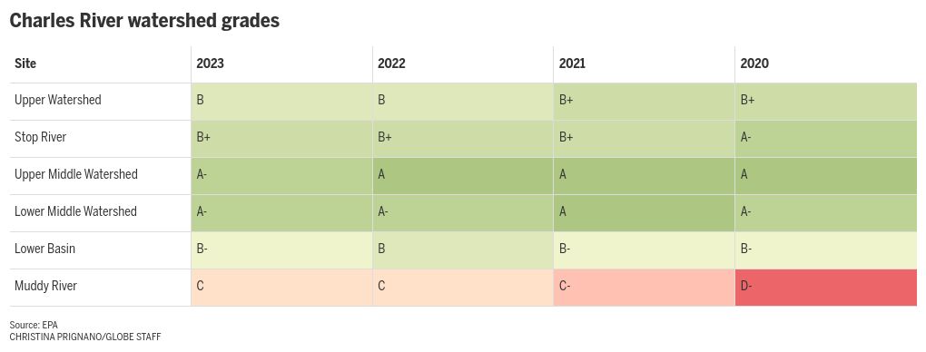 table visualization