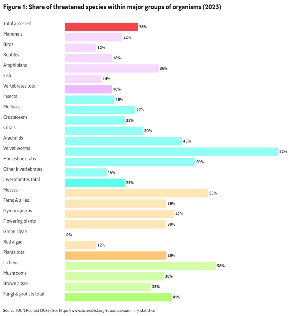 chart visualization