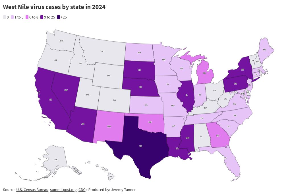 map visualization