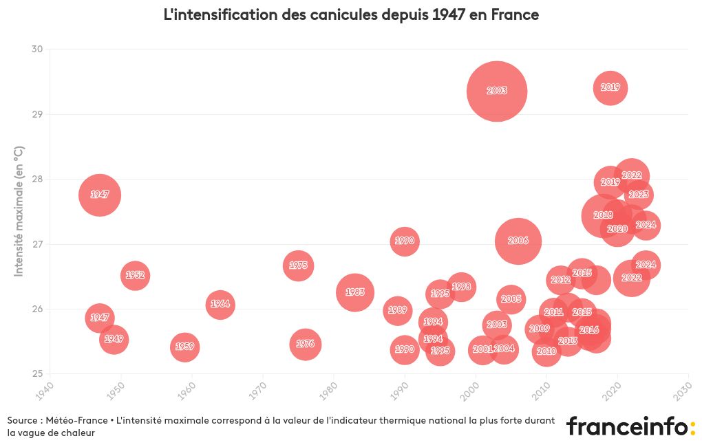 scatter visualization