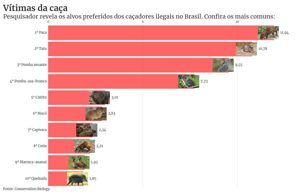 bar-chart-race visualization