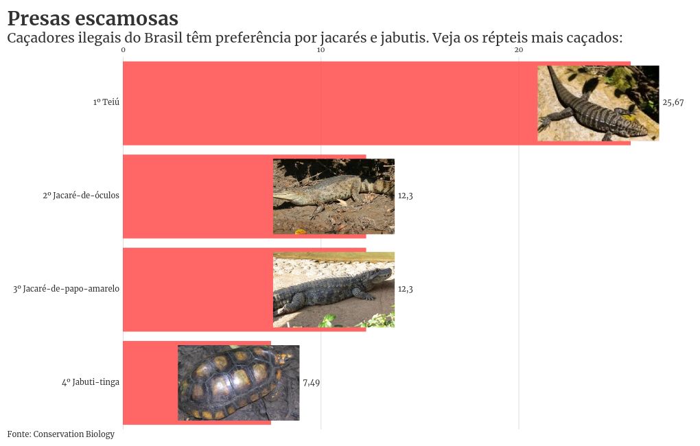 bar-chart-race visualization