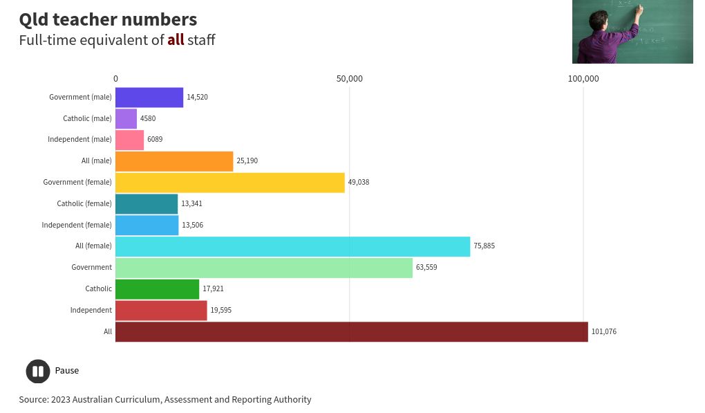 bar-chart-race visualization