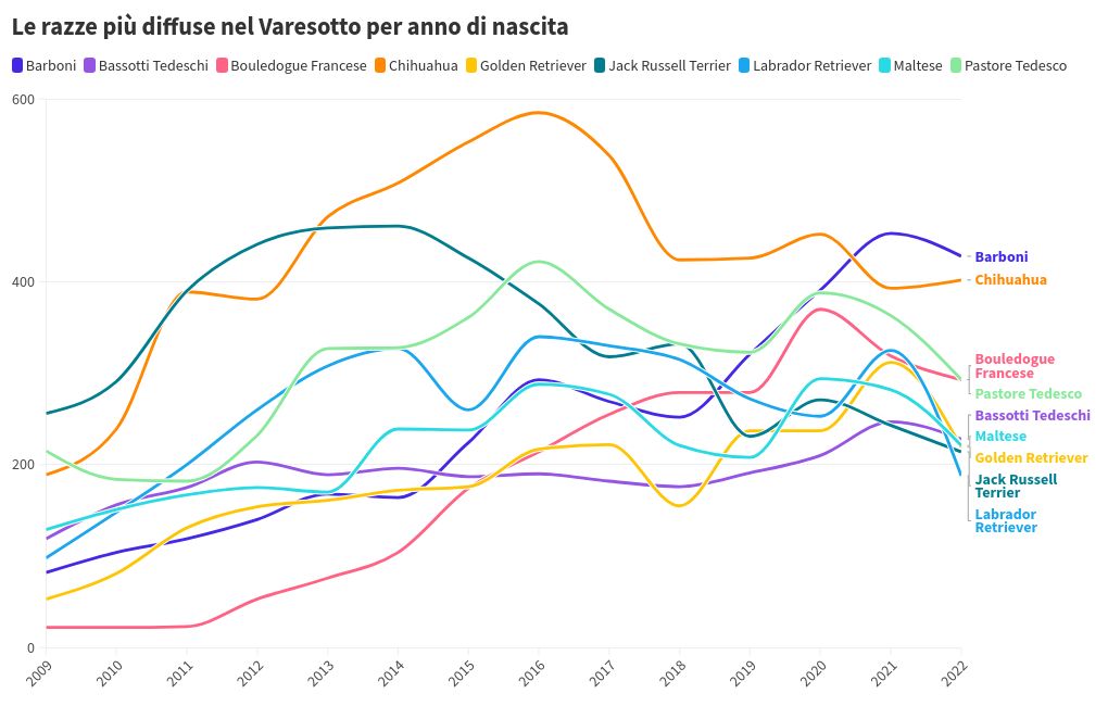 chart visualization