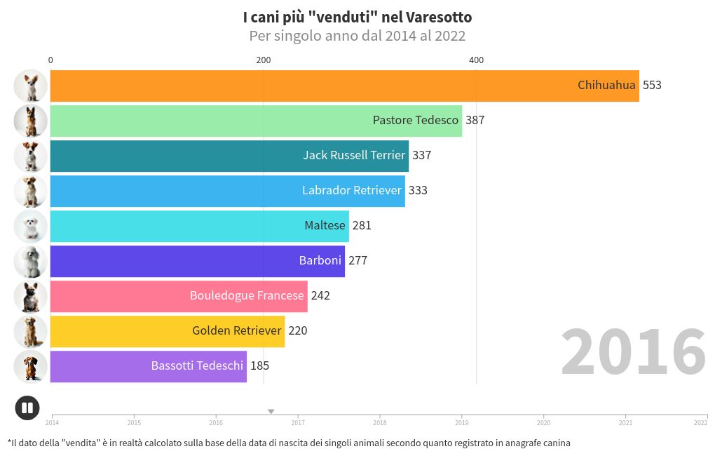 bar-chart-race visualization