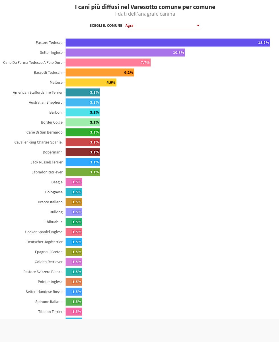 chart visualization