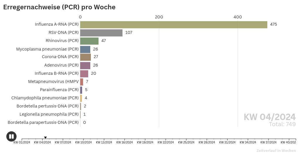 bar-chart-race visualization