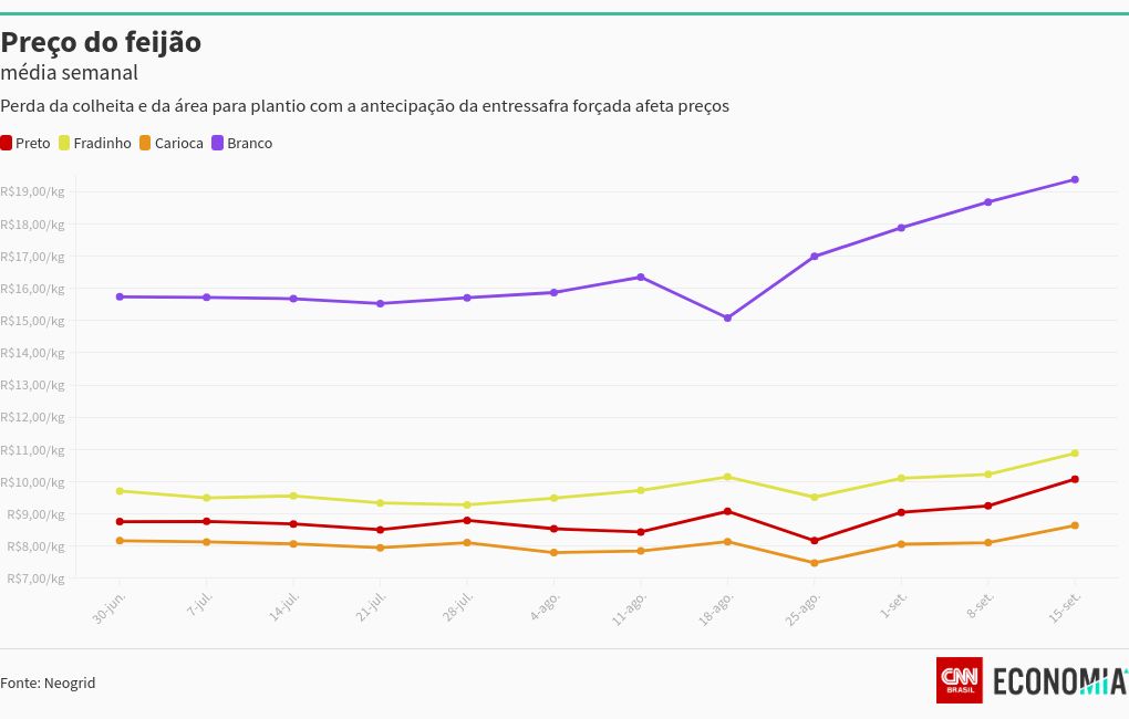 chart visualization