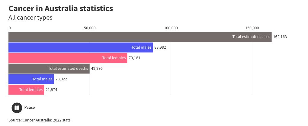 bar-chart-race visualization