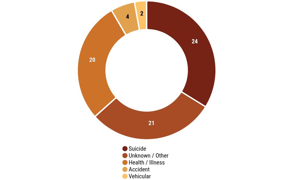 chart visualization