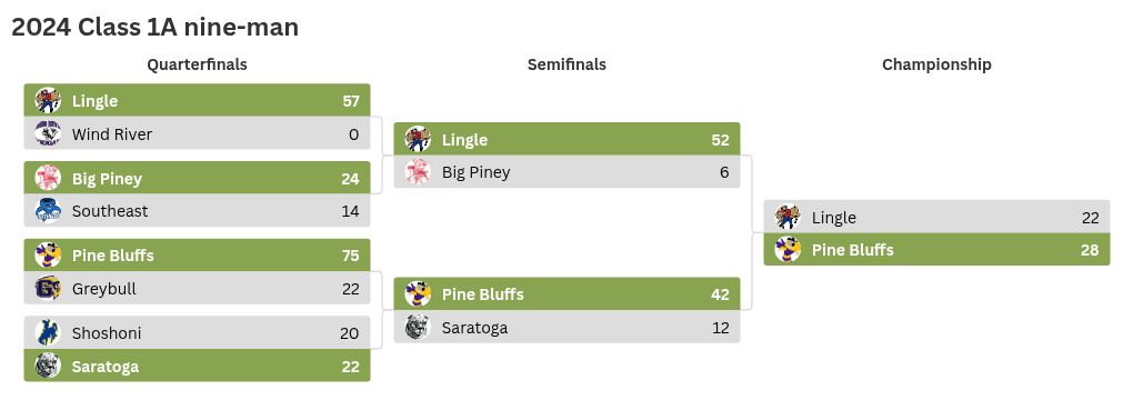 tournament visualization