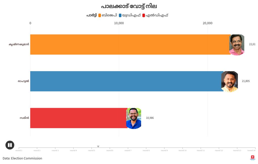 bar-chart-race visualization